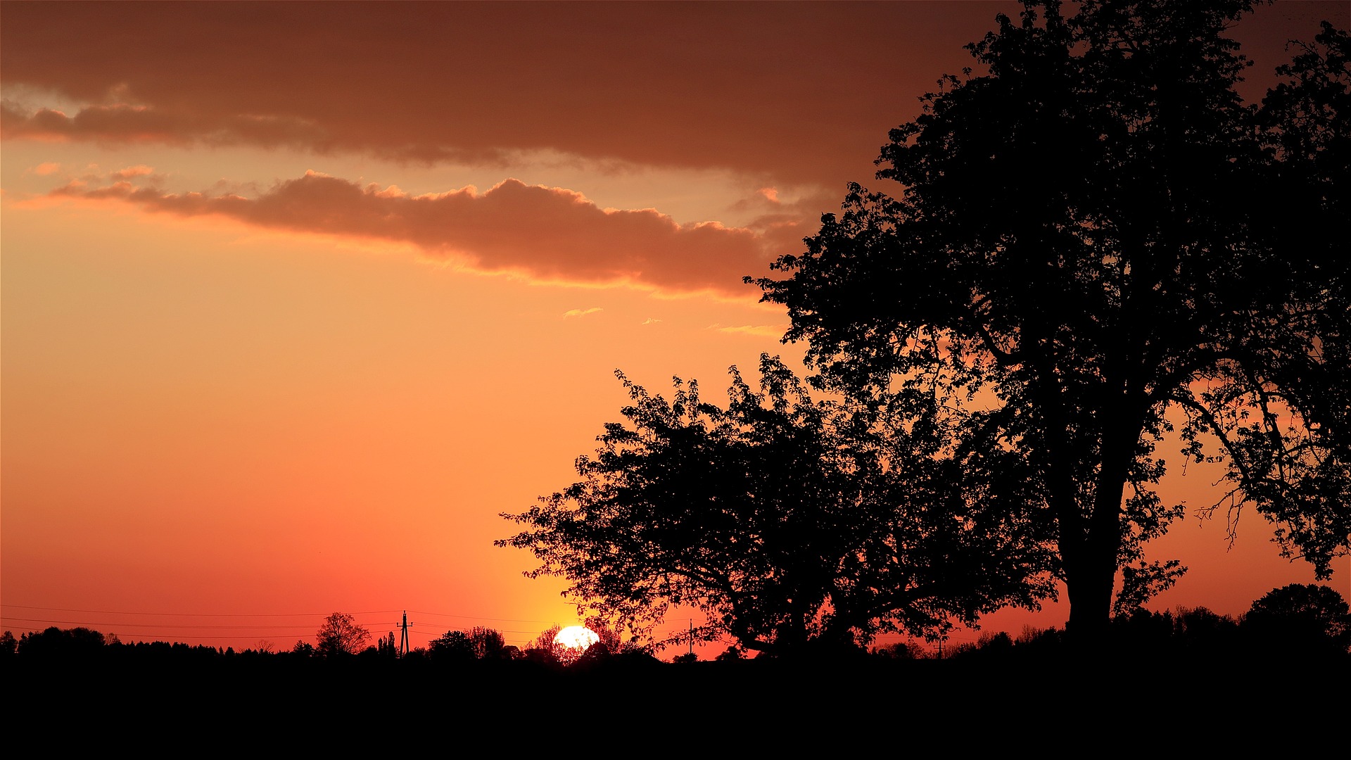VERARBEITUNG TRAUMATISCHER ERLEBNISSE, Z.B.: